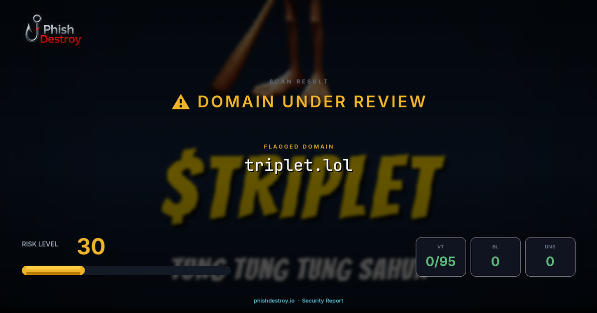 triplet.lol phishing report — threat analysis by PhishDestroy