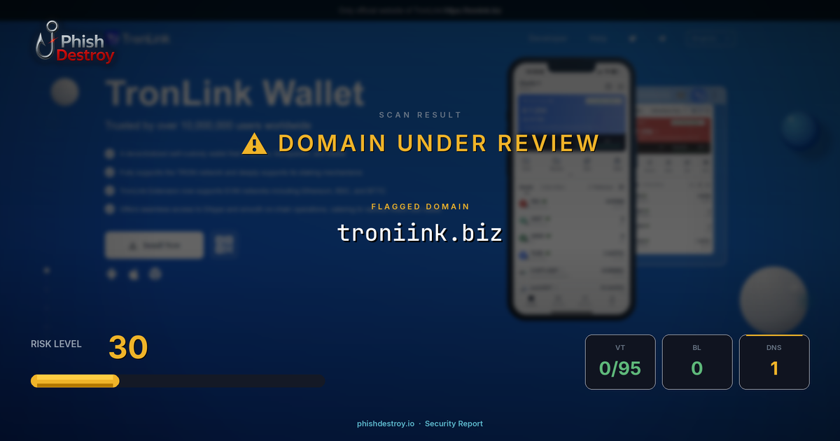 troniink.biz phishing report — threat analysis by PhishDestroy