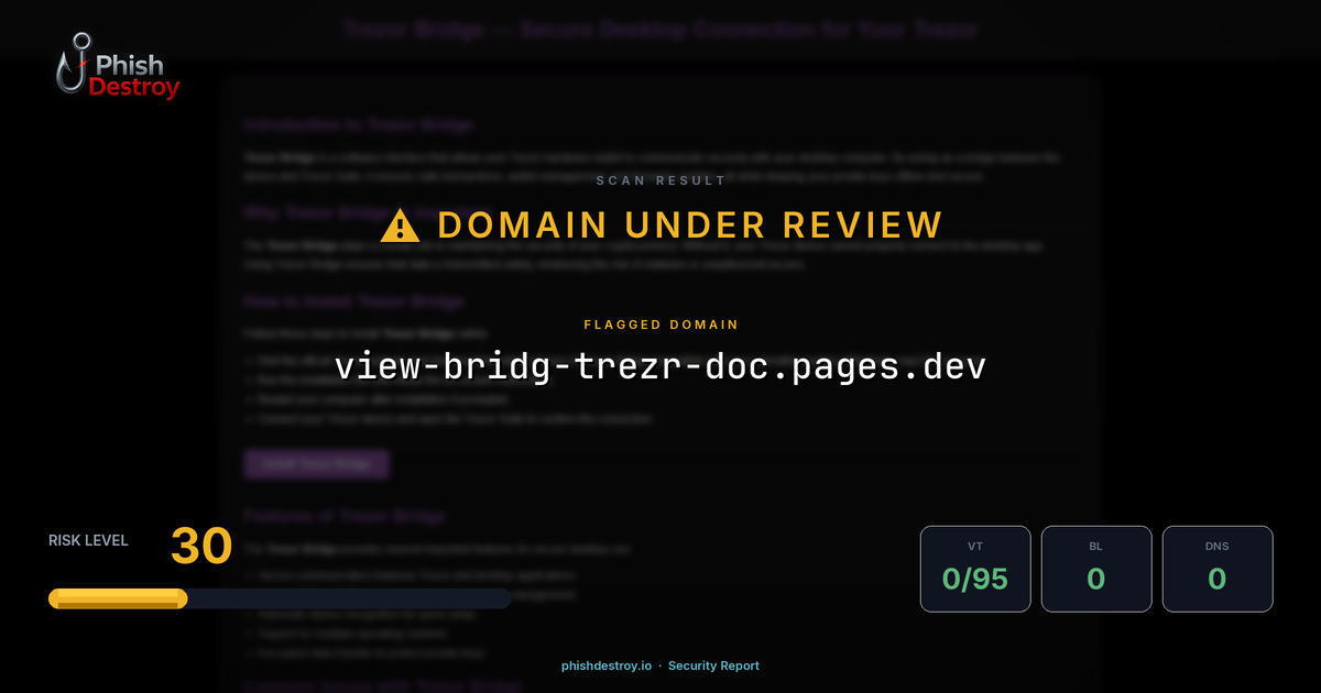 view-bridg-trezr-doc.pages.dev phishing report — threat analysis by PhishDestroy