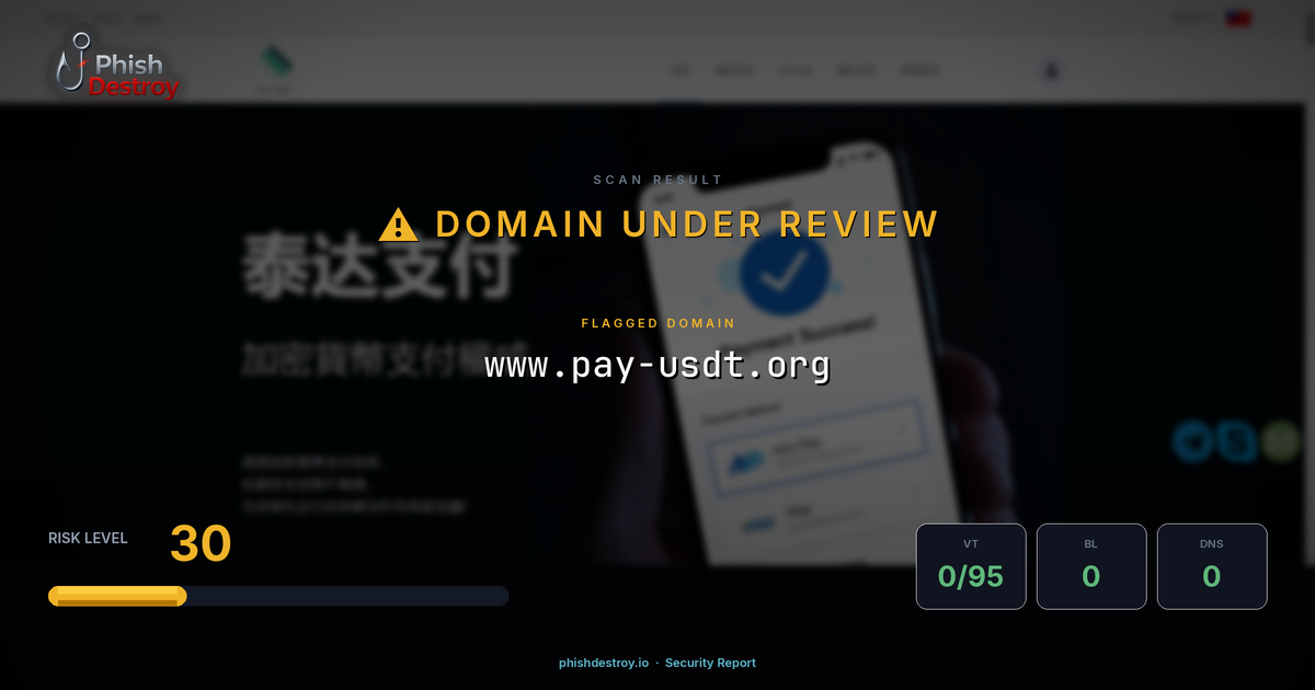 www.pay-usdt.org phishing report — threat analysis by PhishDestroy