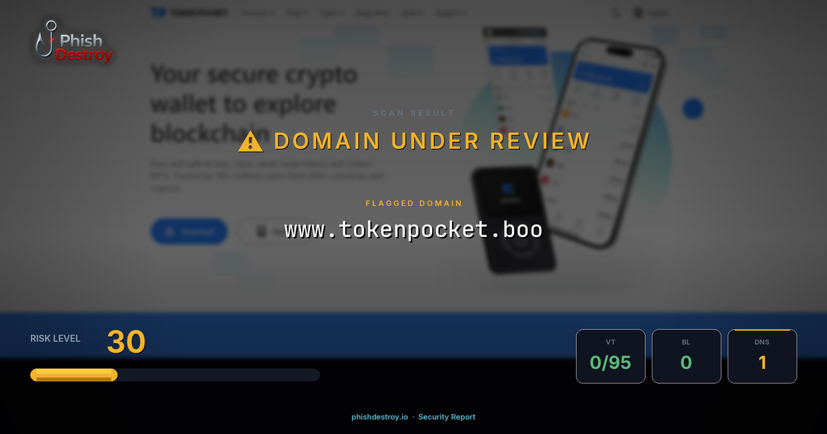 www.tokenpocket.boo phishing report — threat analysis by PhishDestroy