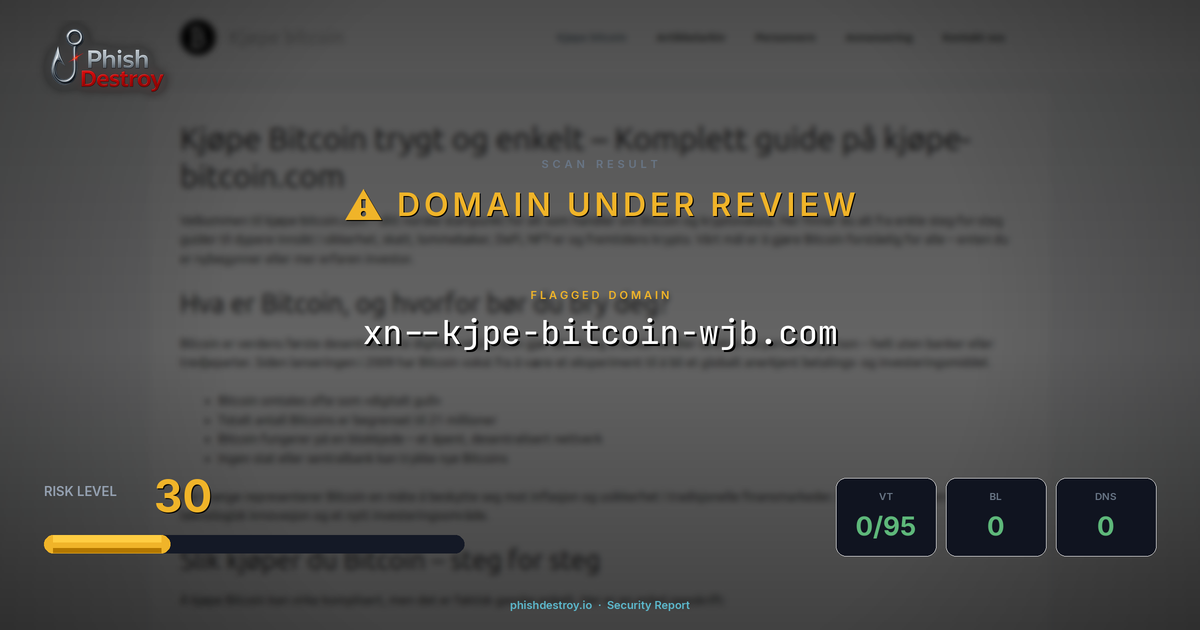 xn--kjpe-bitcoin-wjb.com phishing report — threat analysis by PhishDestroy