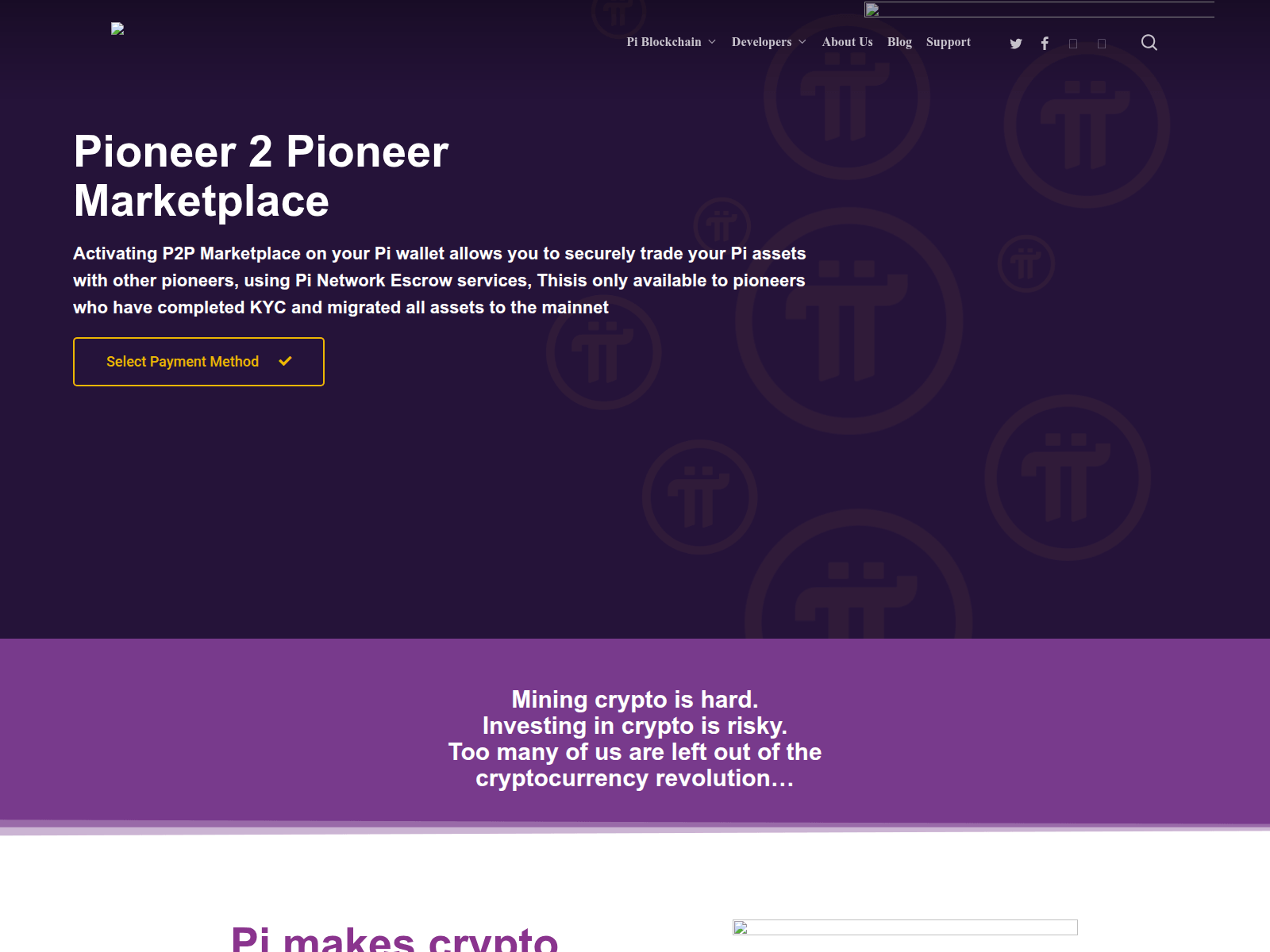 Screenshot of pinethelps.com