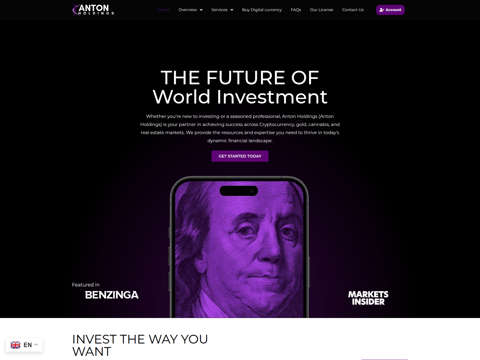 Screenshot of antonholdings.net