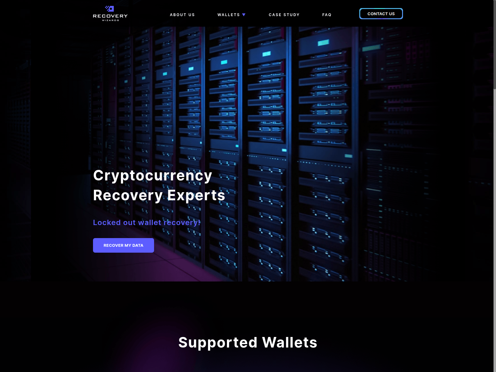 Screenshot of recovery-wizards.com