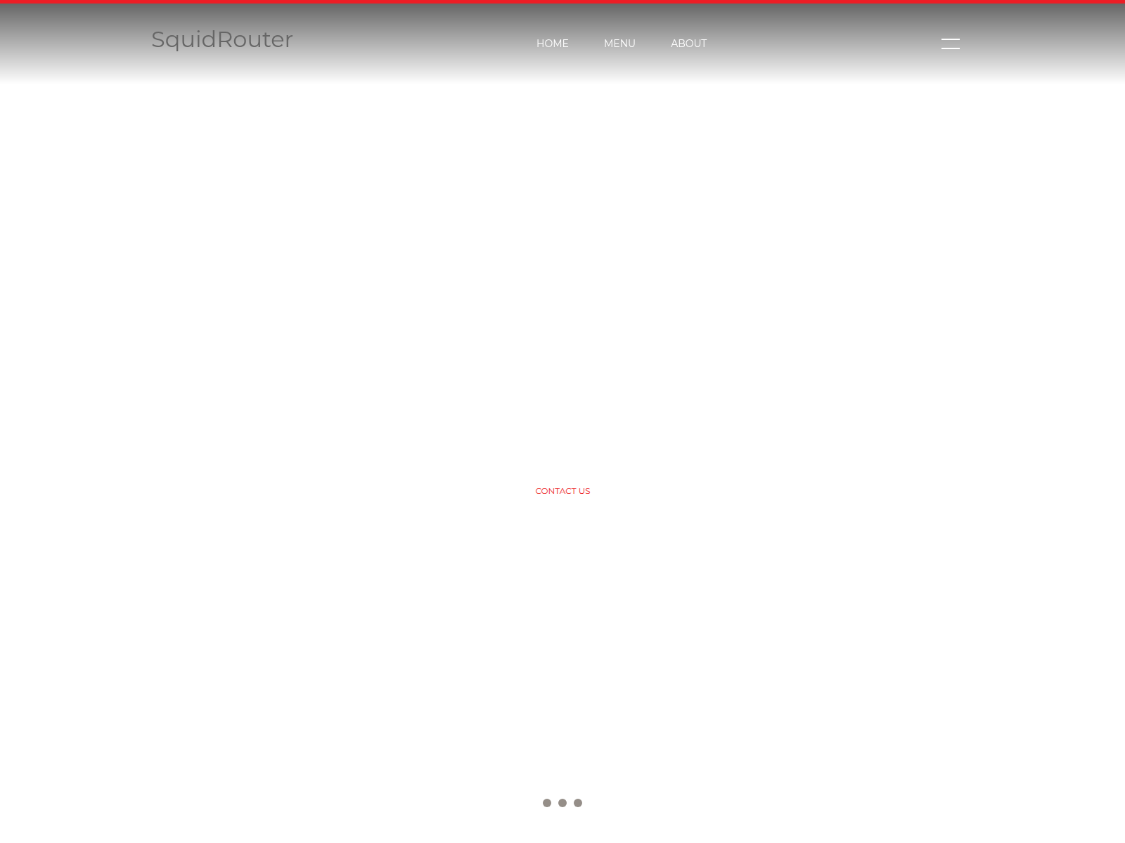 Screenshot of squidrcuoter.com