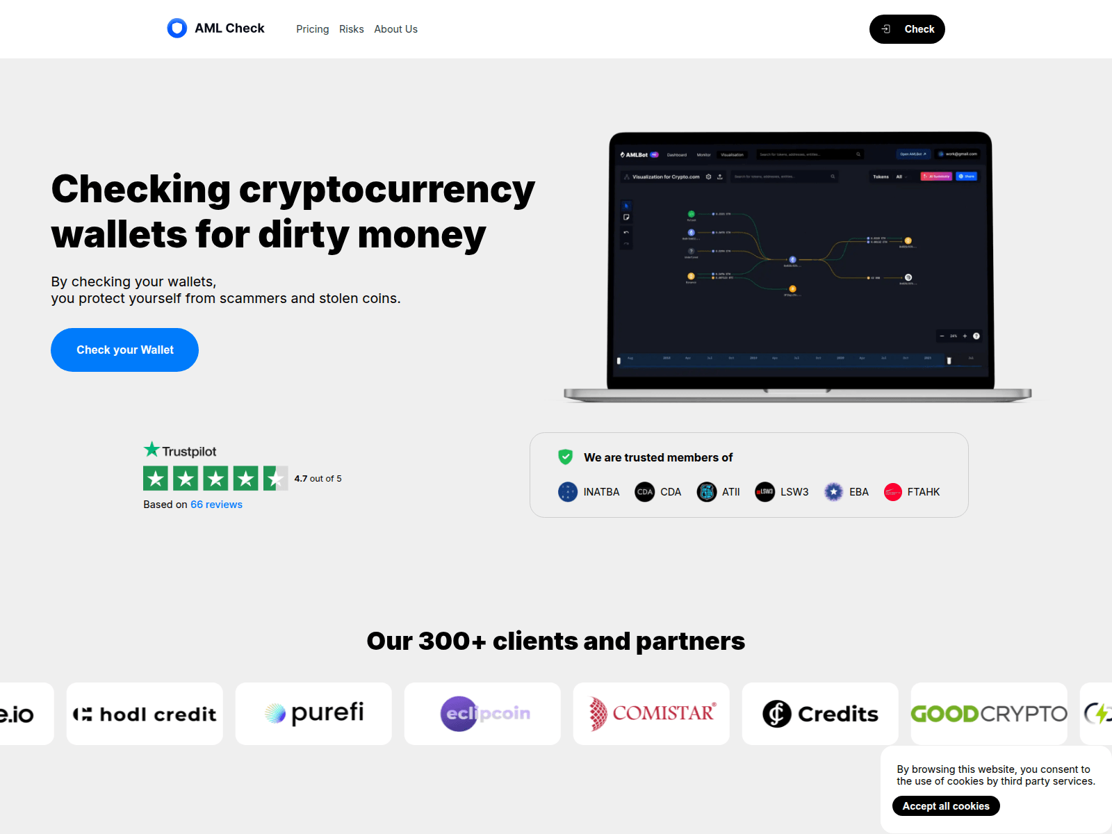 Forensic screenshot of amlraportes.com