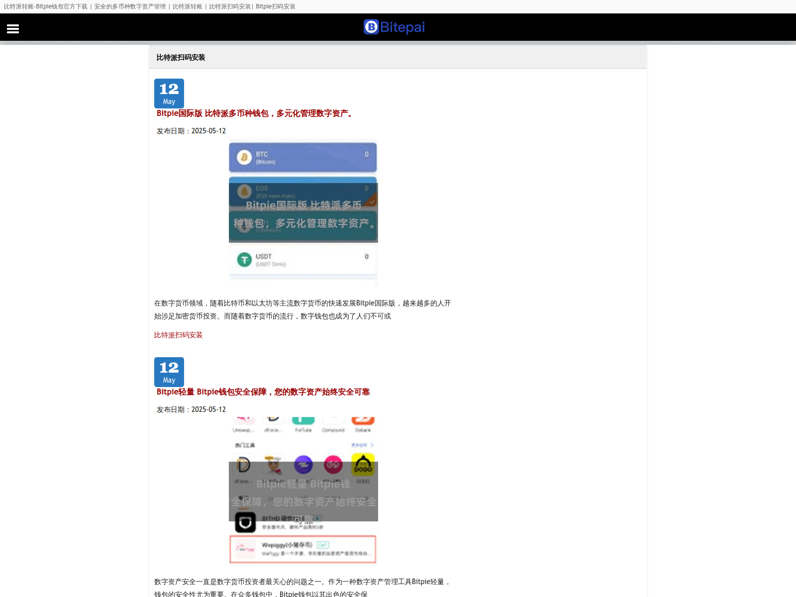 Screenshot of bitpiemi.com
