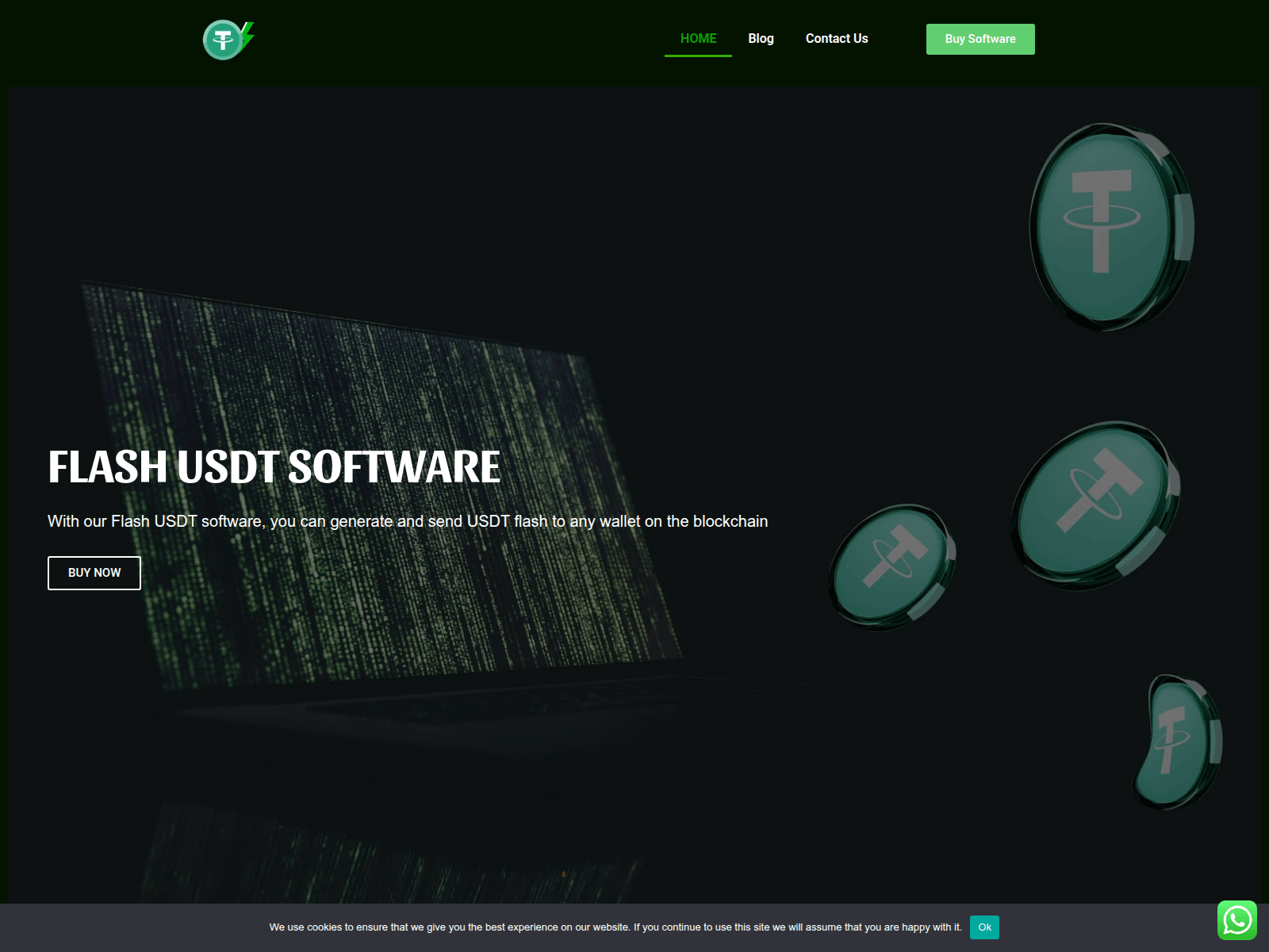 Screenshot of usdtflashersoftwares.com