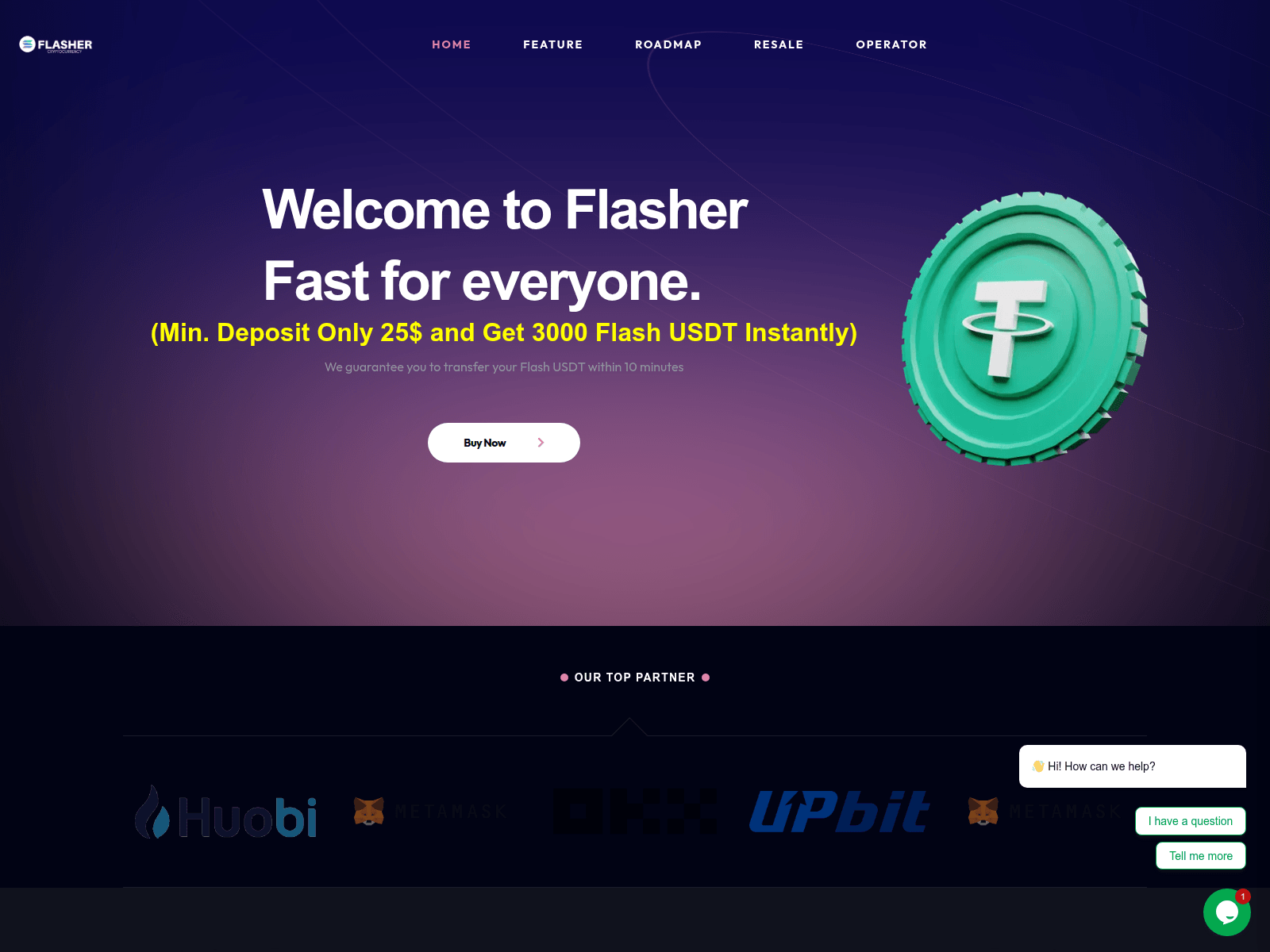Screenshot of flasherusdt.in