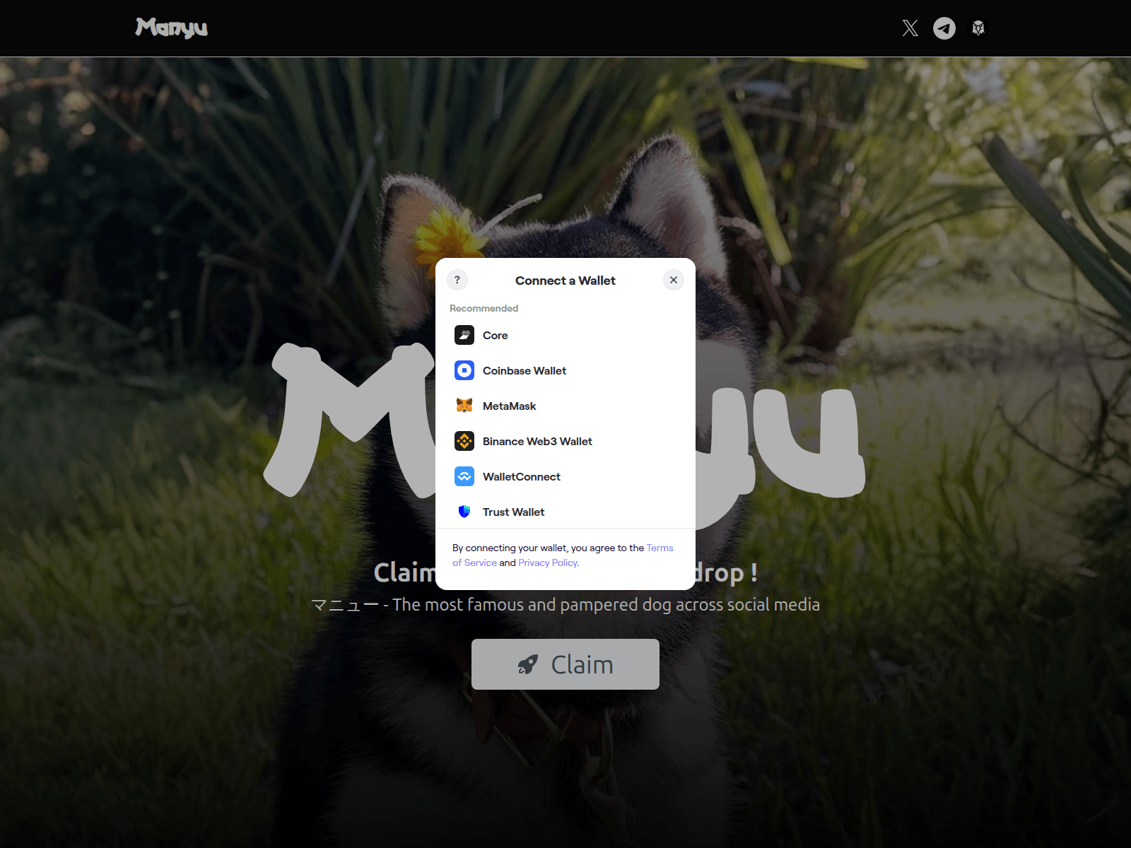 Screenshot of heymanyu.co