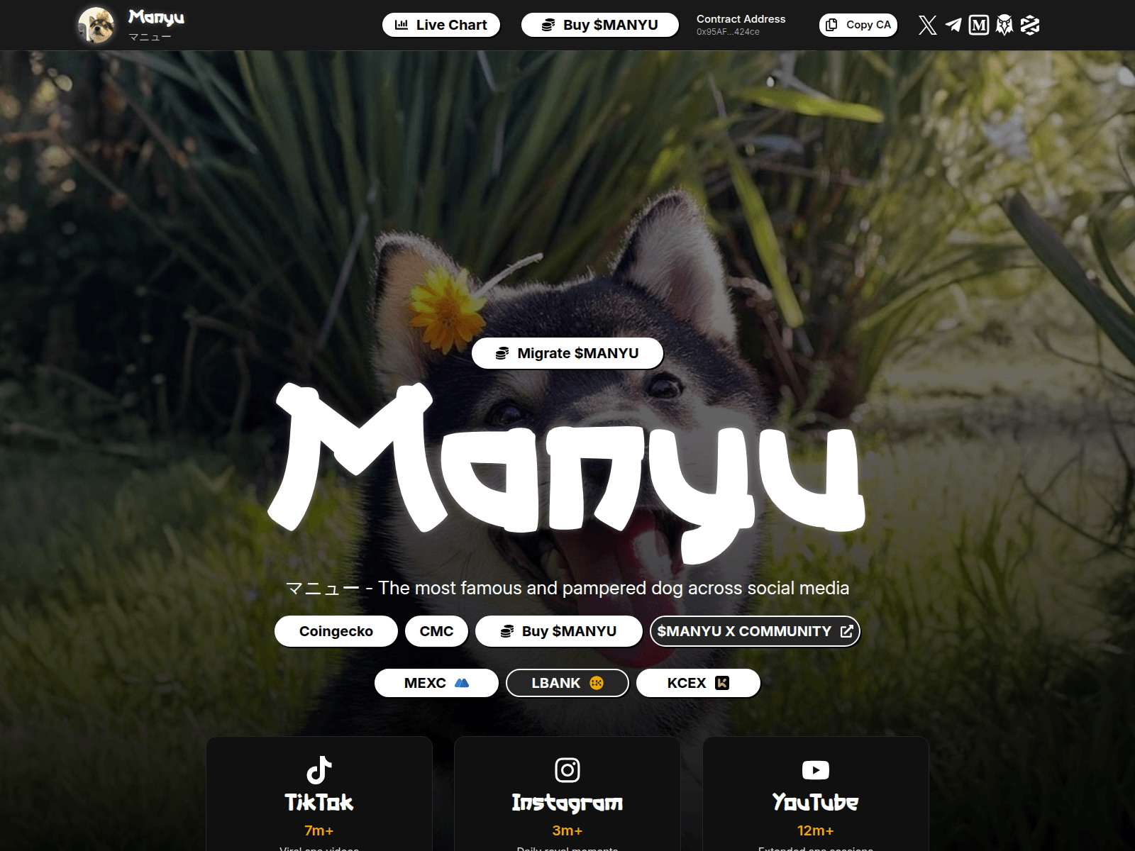 Screenshot of manyushibmigrate.pro