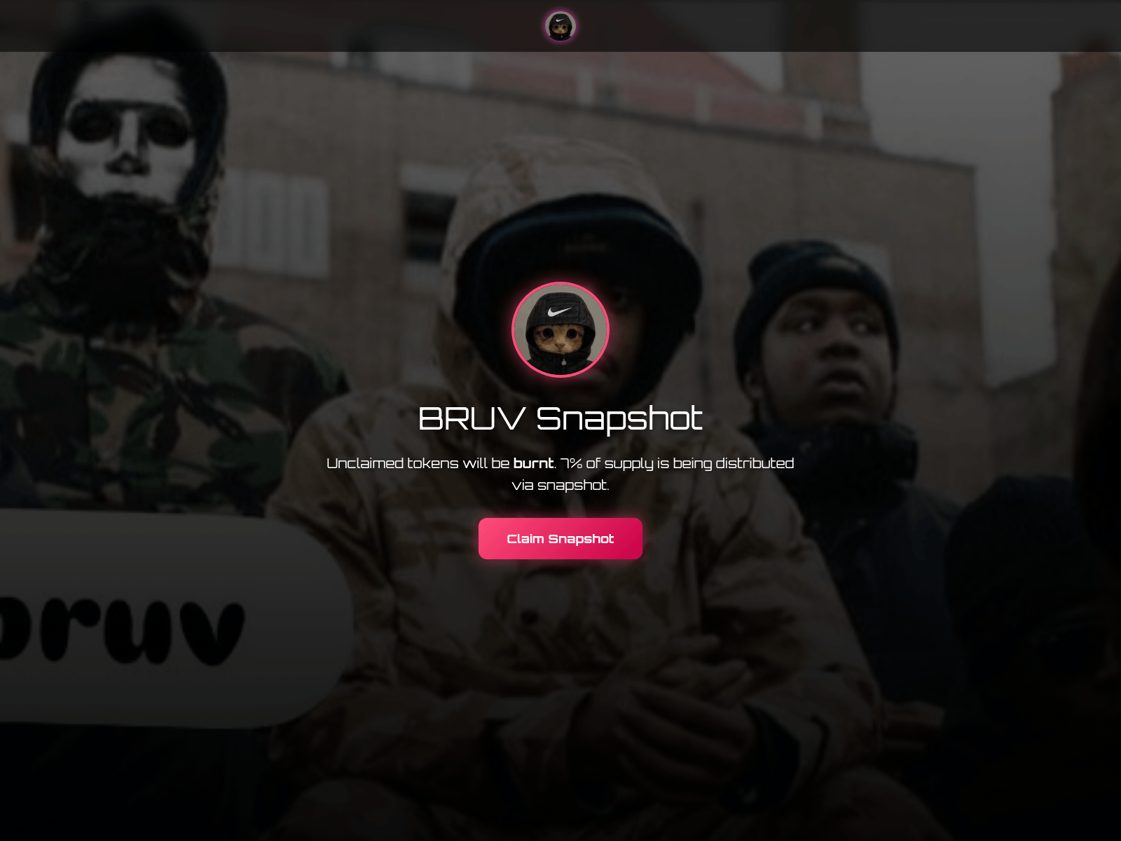 Screenshot of snapshot-bruv.co