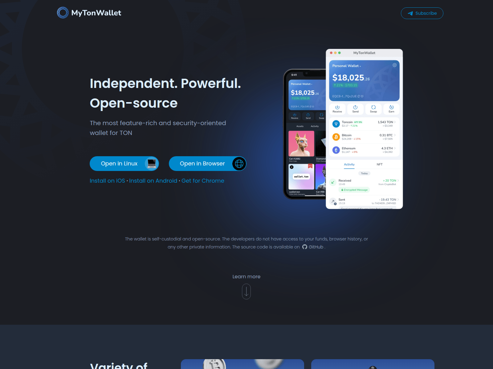 Screenshot of mytonwallet.click