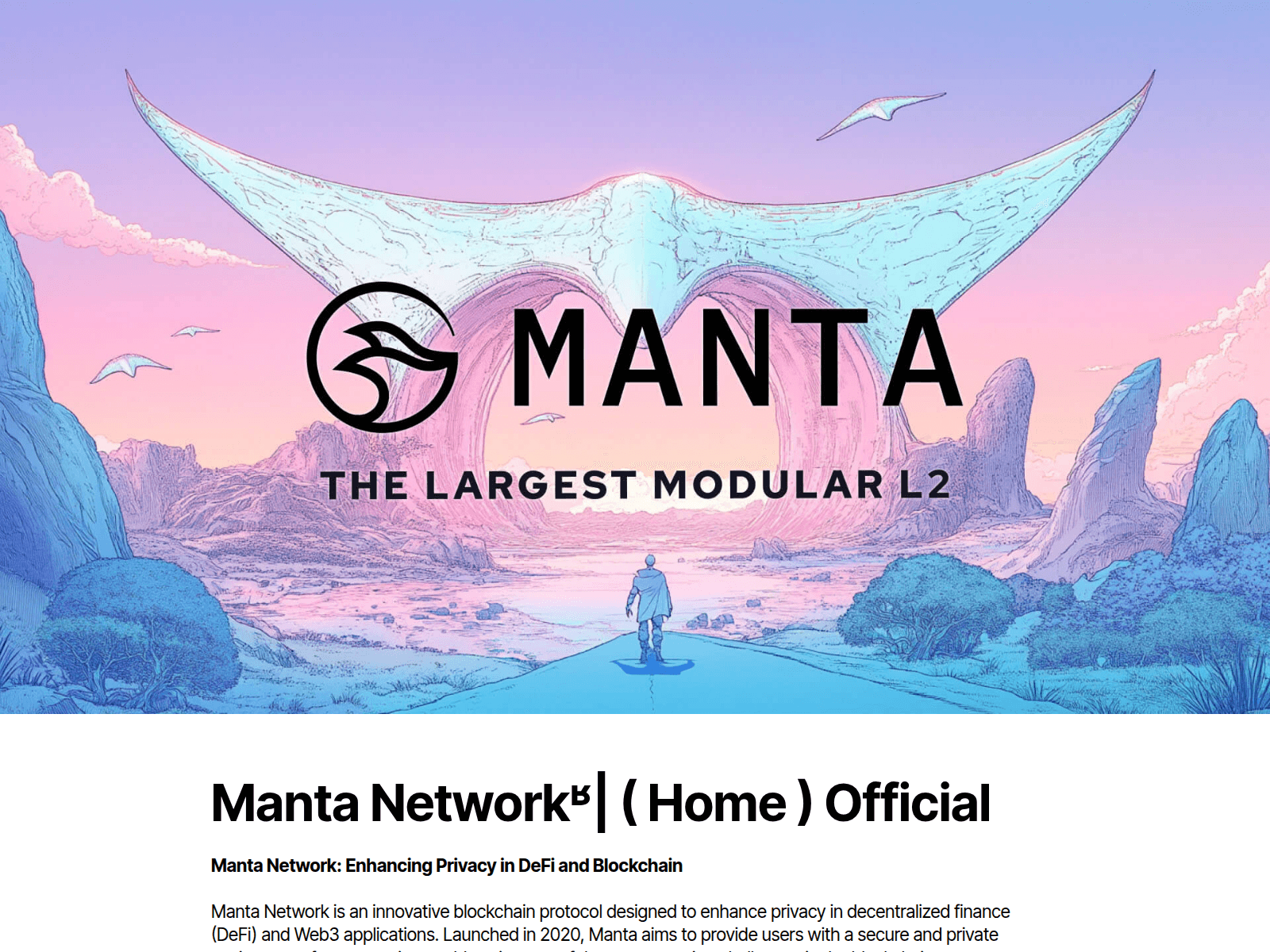 Screenshot of app-manta-network.github.io