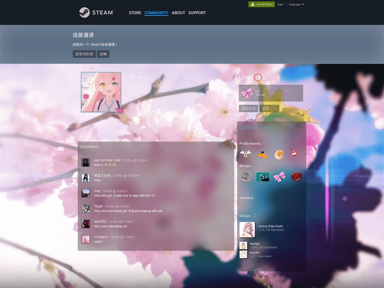 Screenshot of si.team-cnw.com