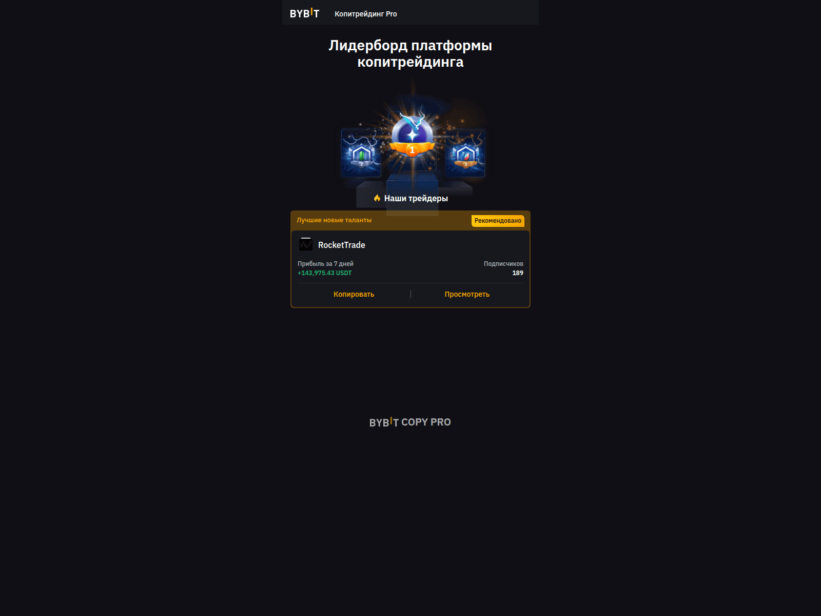 Screenshot of bybit-copy-trade.com
