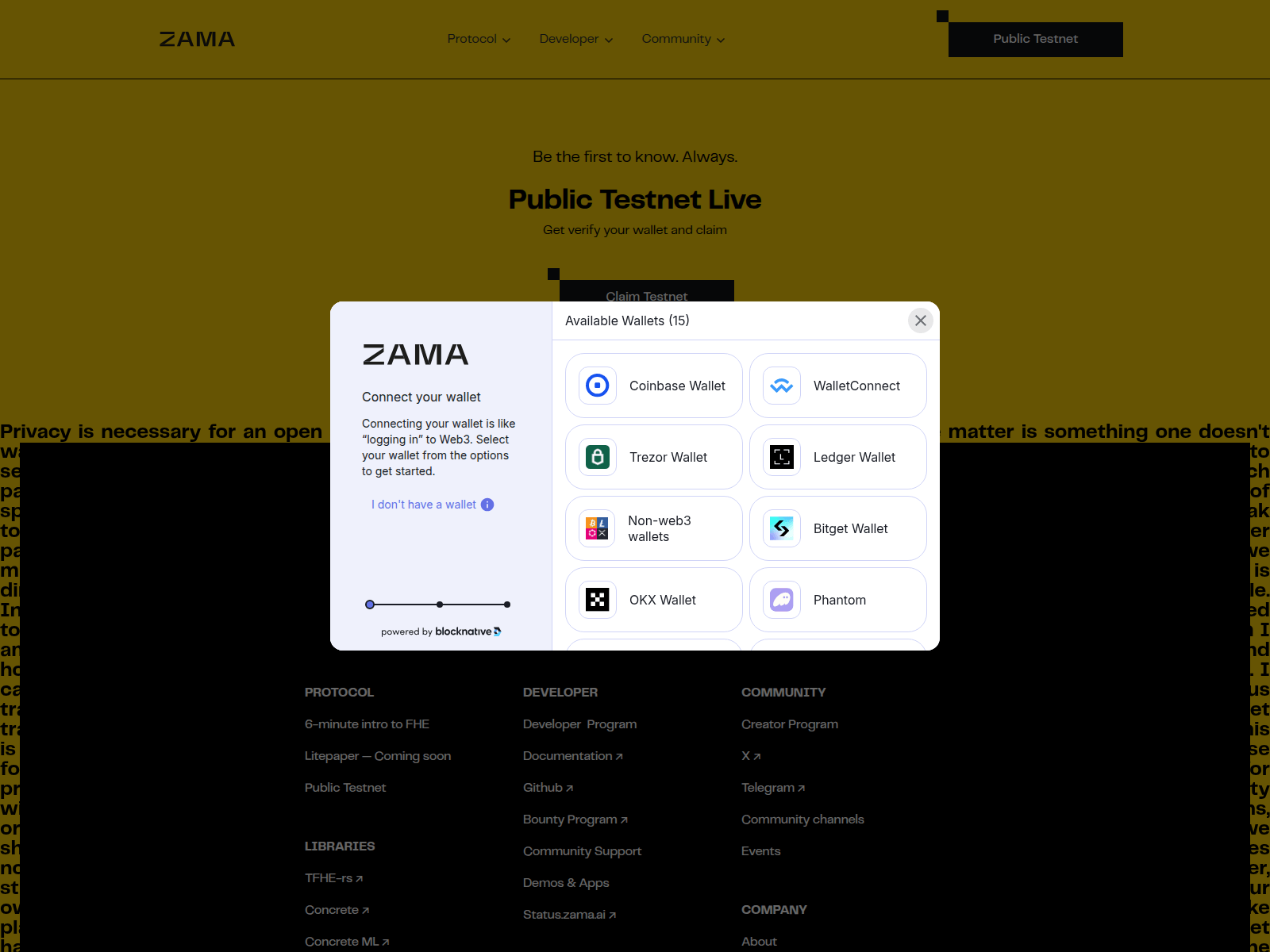 Screenshot of zama.web3-testnet.com