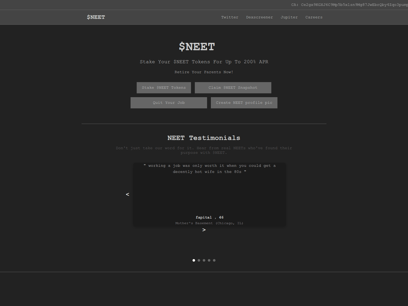 Screenshot of portal-neetcoin.com