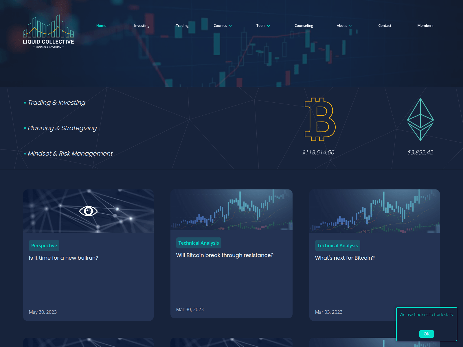 Screenshot of liquid-collective.com