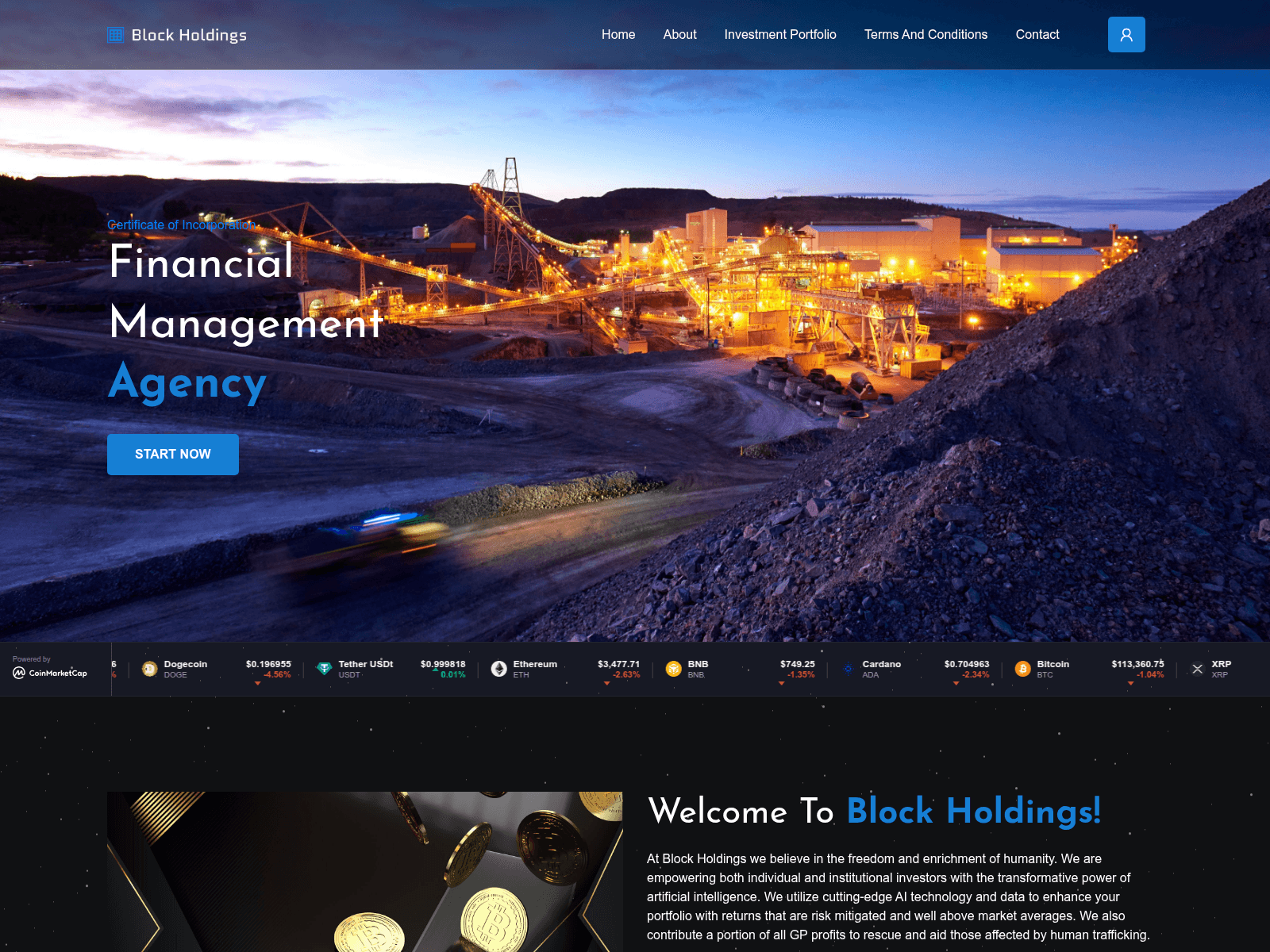 Screenshot of blockholdings.org