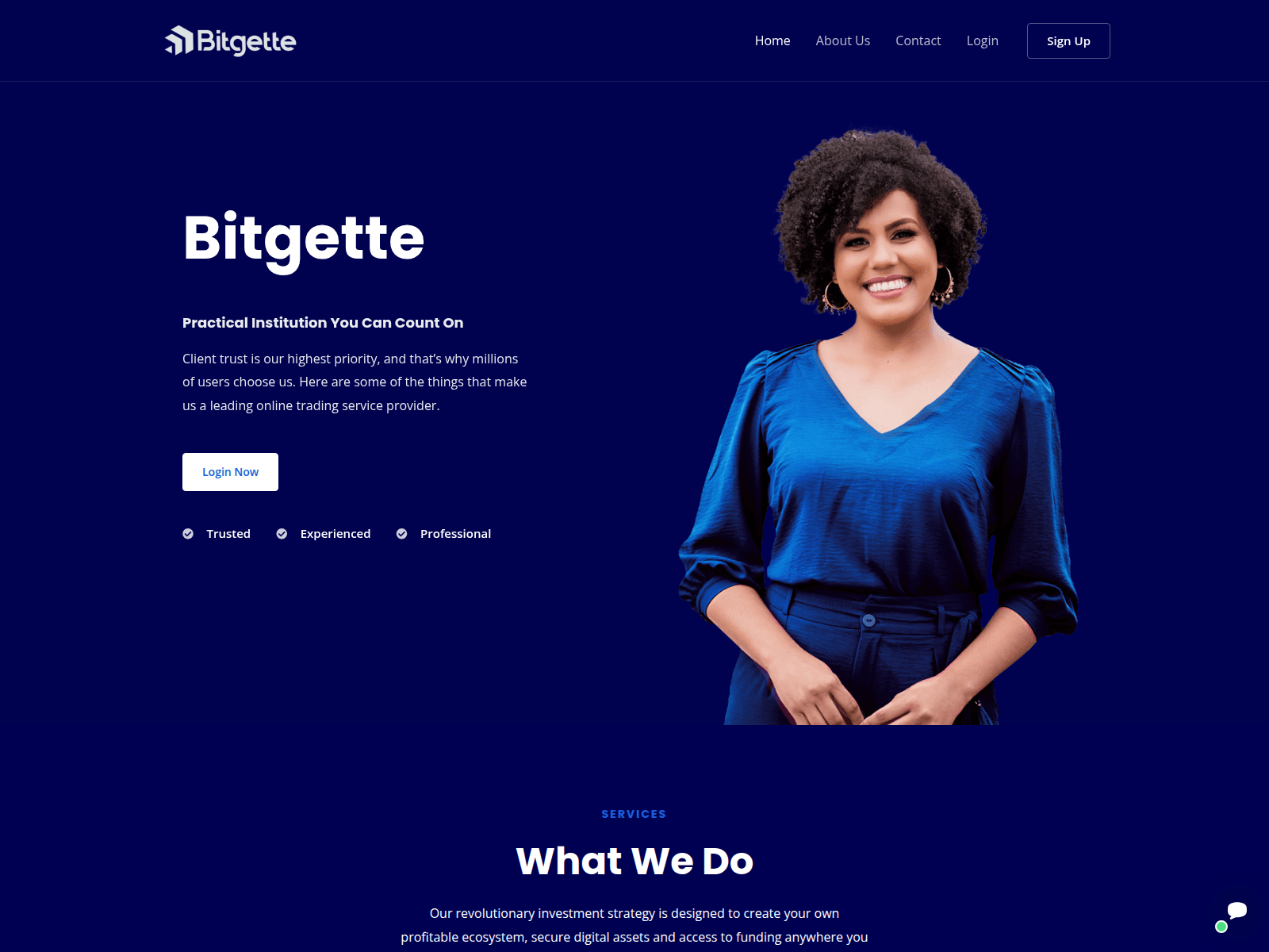 Screenshot of bitgette.com