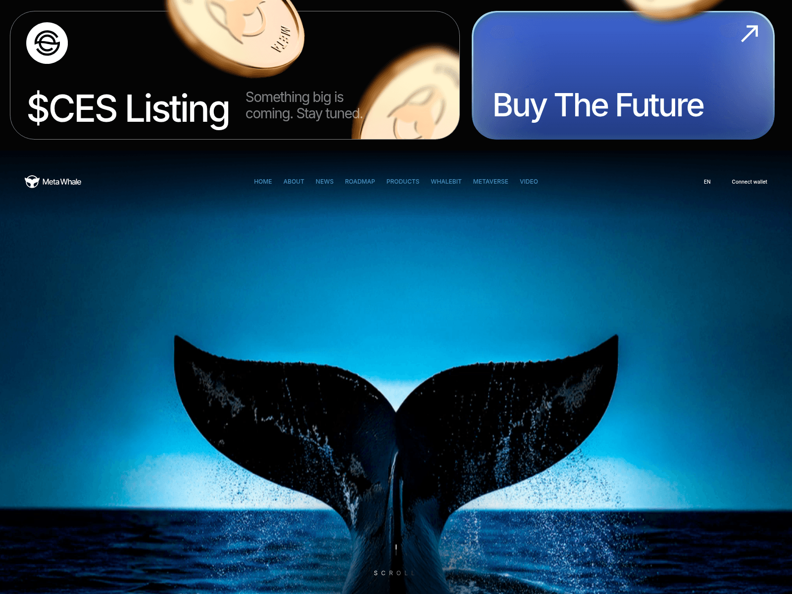 Forensic screenshot of ces.whalebit.network