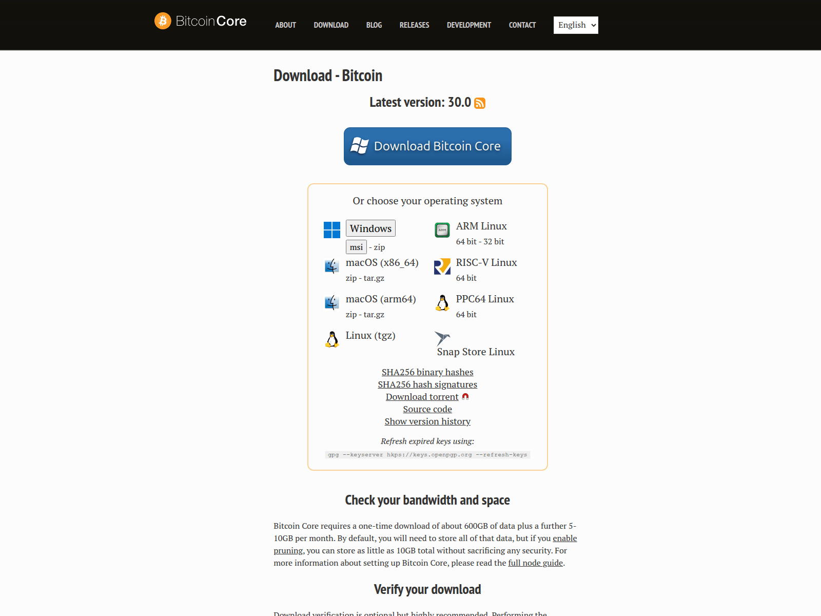 Screenshot of bitcoincoreapp.store