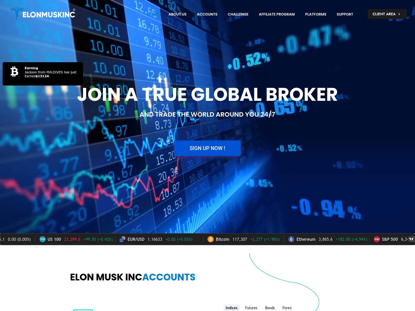 Screenshot of elonmuskteslainvestmentcompany.com