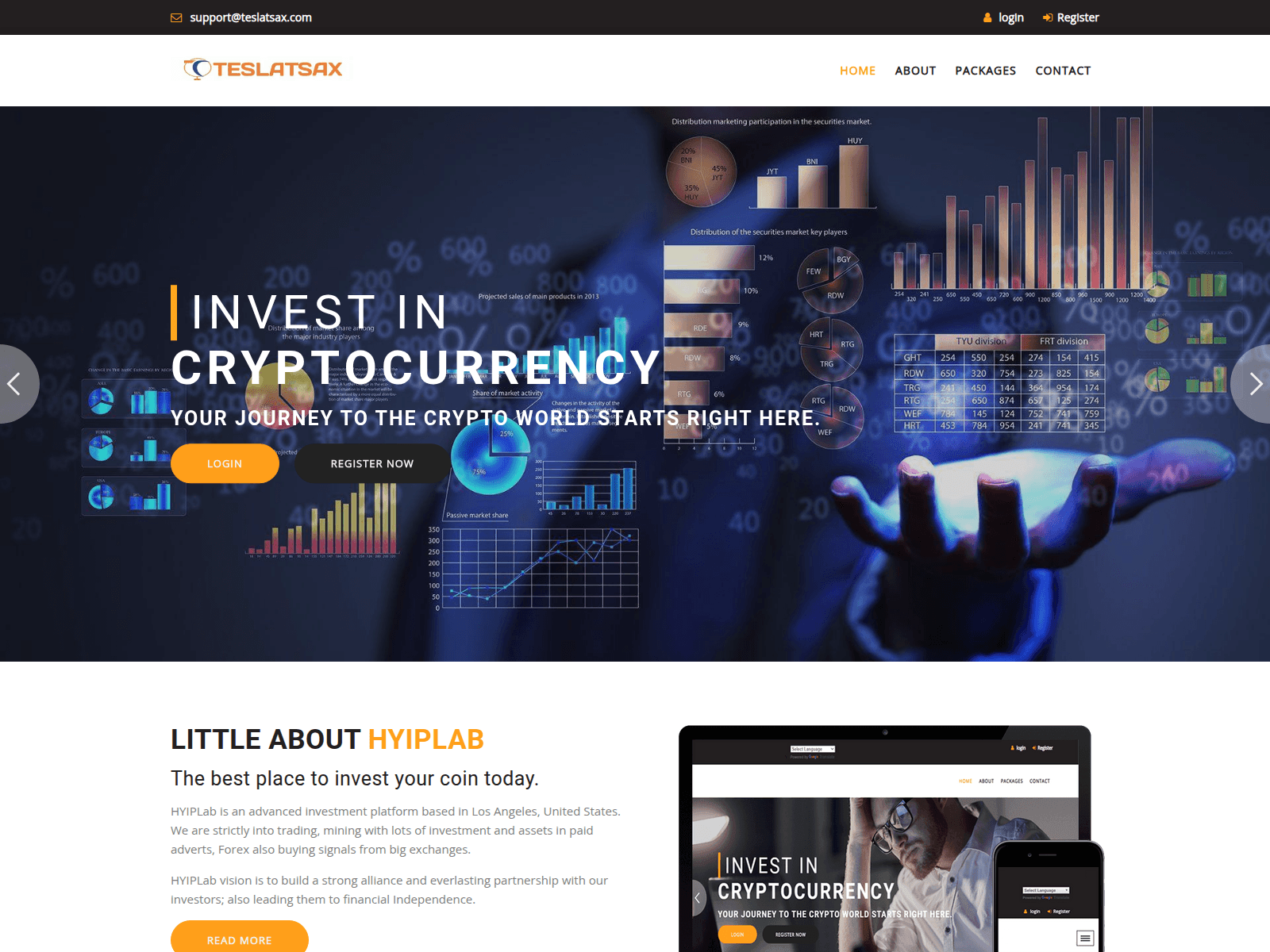 Screenshot of teslatsax.com