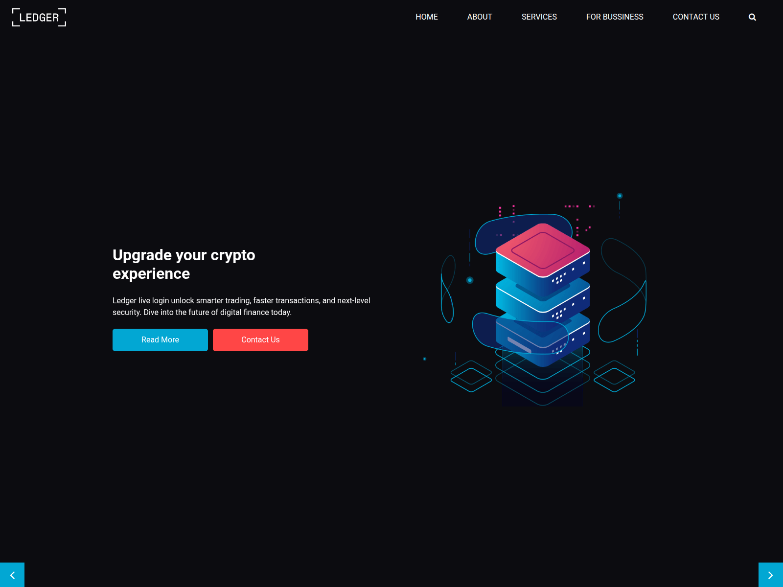 Screenshot of live.ledgerr.us