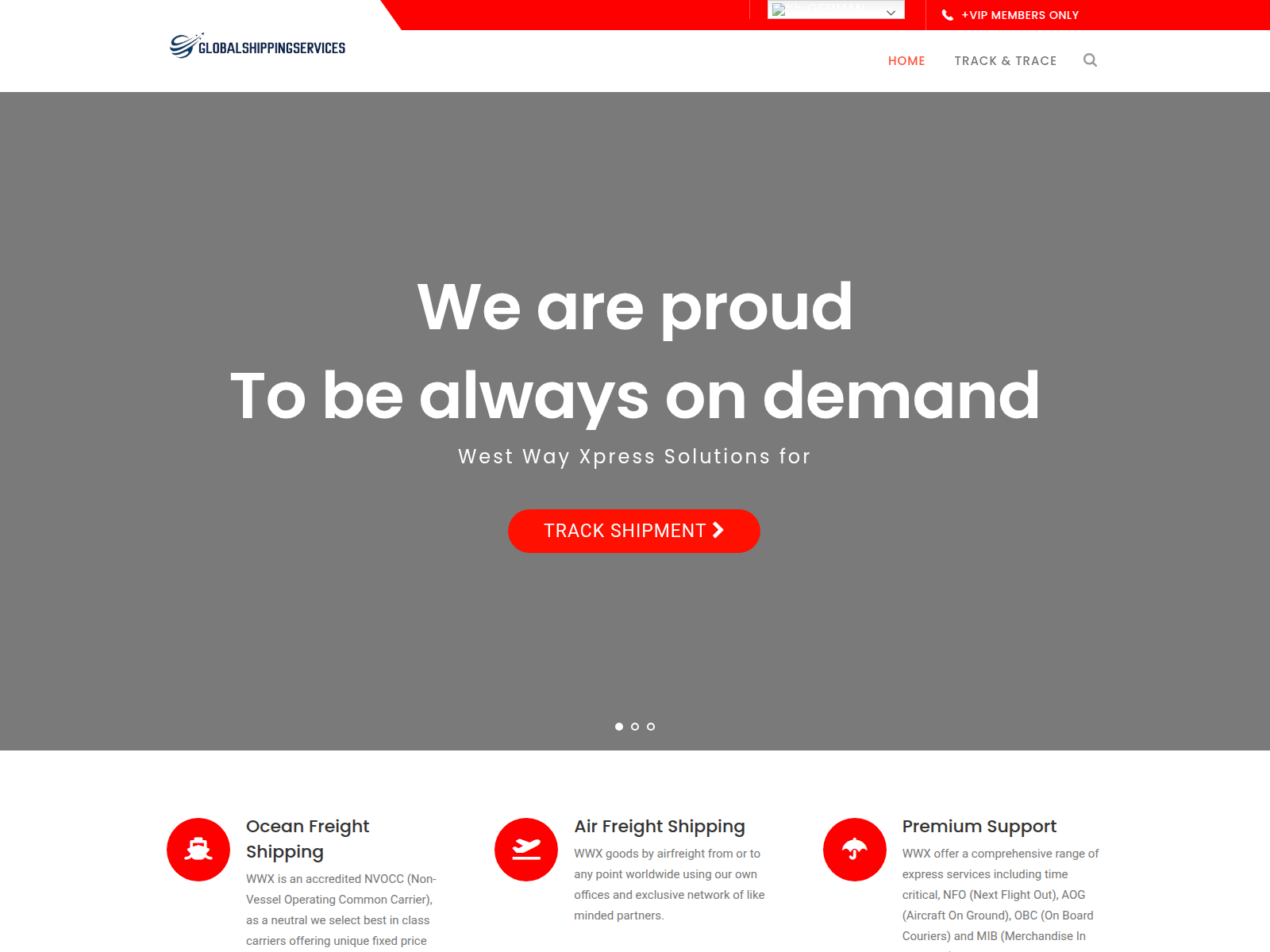 Screenshot of globalshippingservices.live