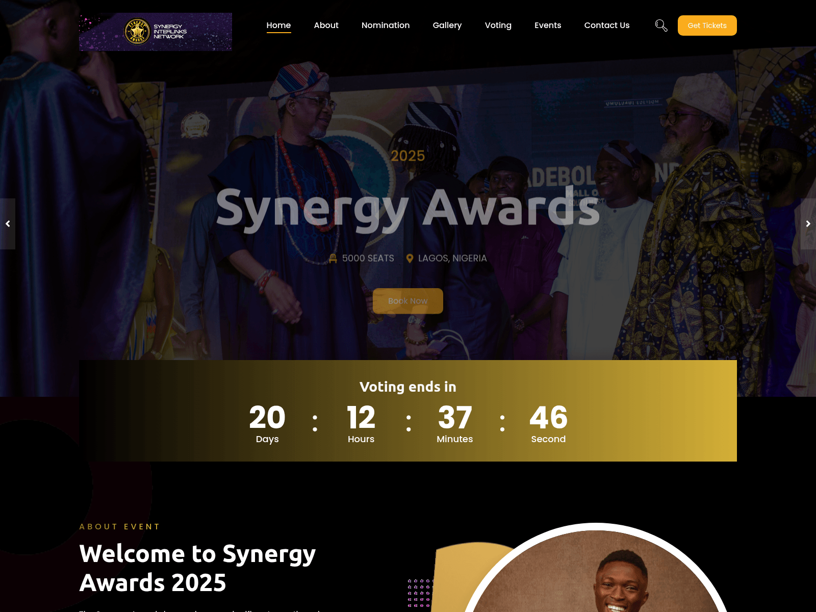 Screenshot of synergyinterlinks.com