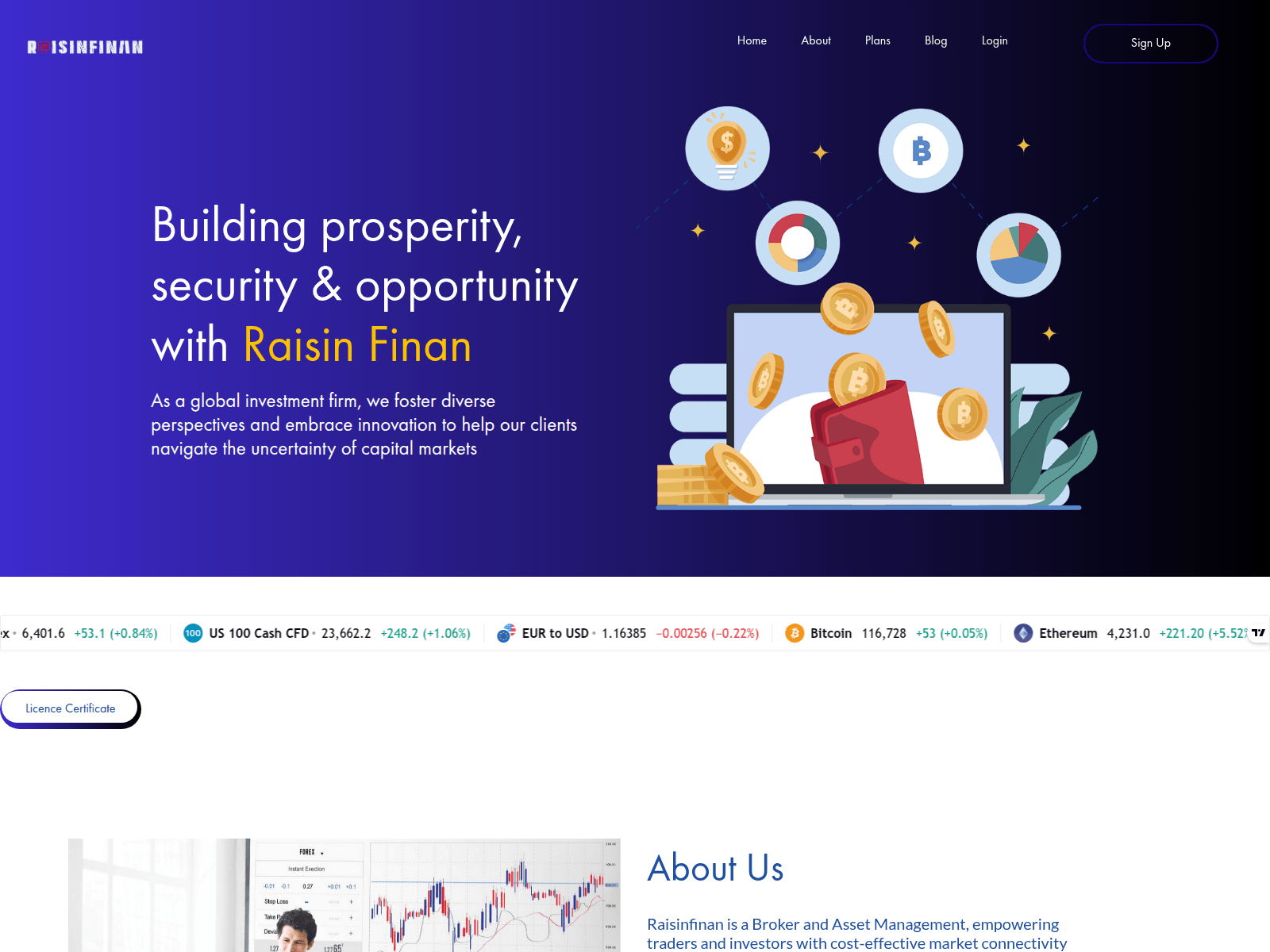 Screenshot of raisinfinan.com