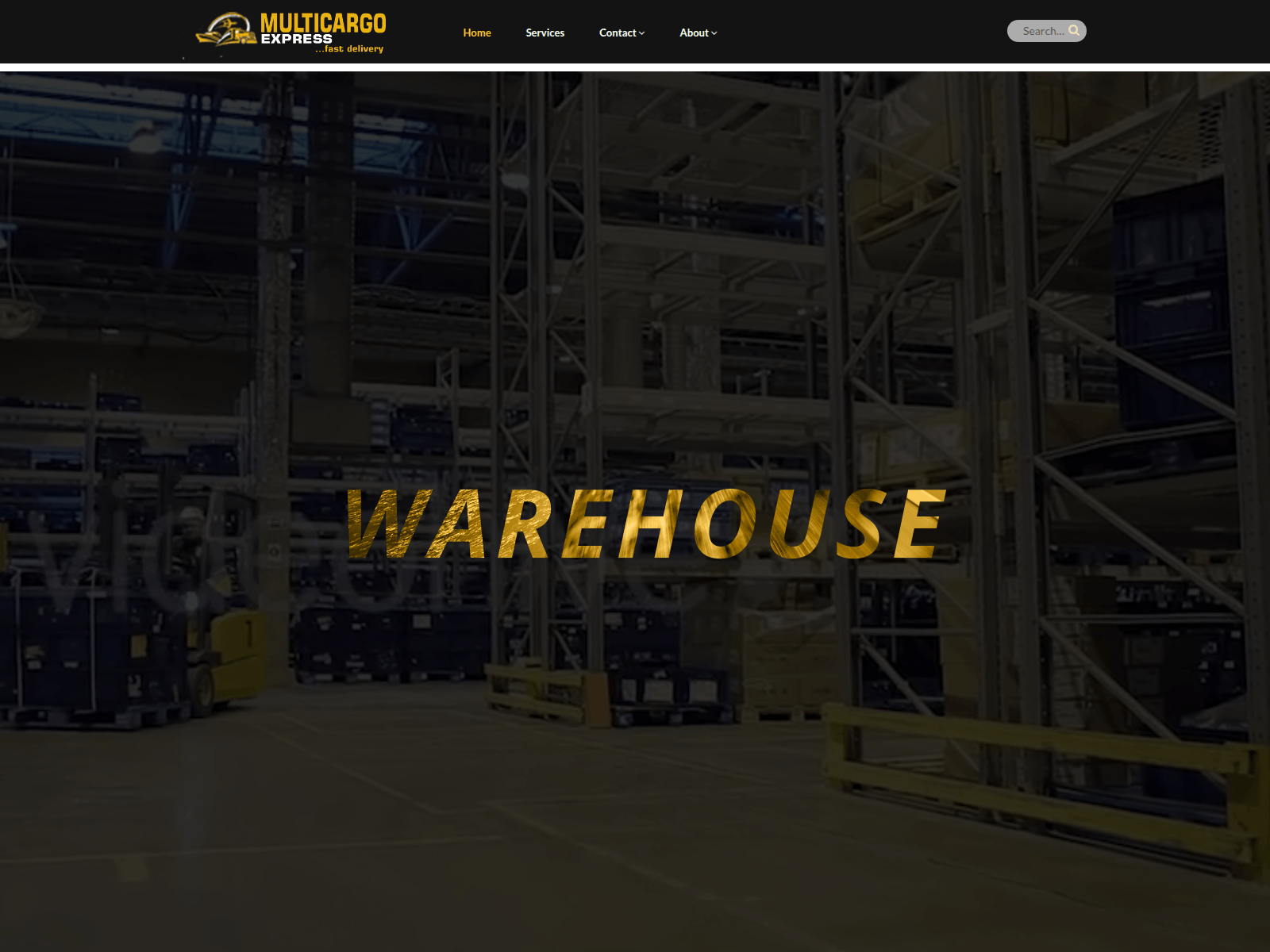 Screenshot of multicargoxpress.com