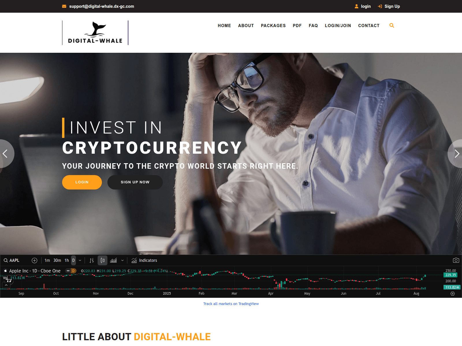 Screenshot of digital-whale.dx-gc.com