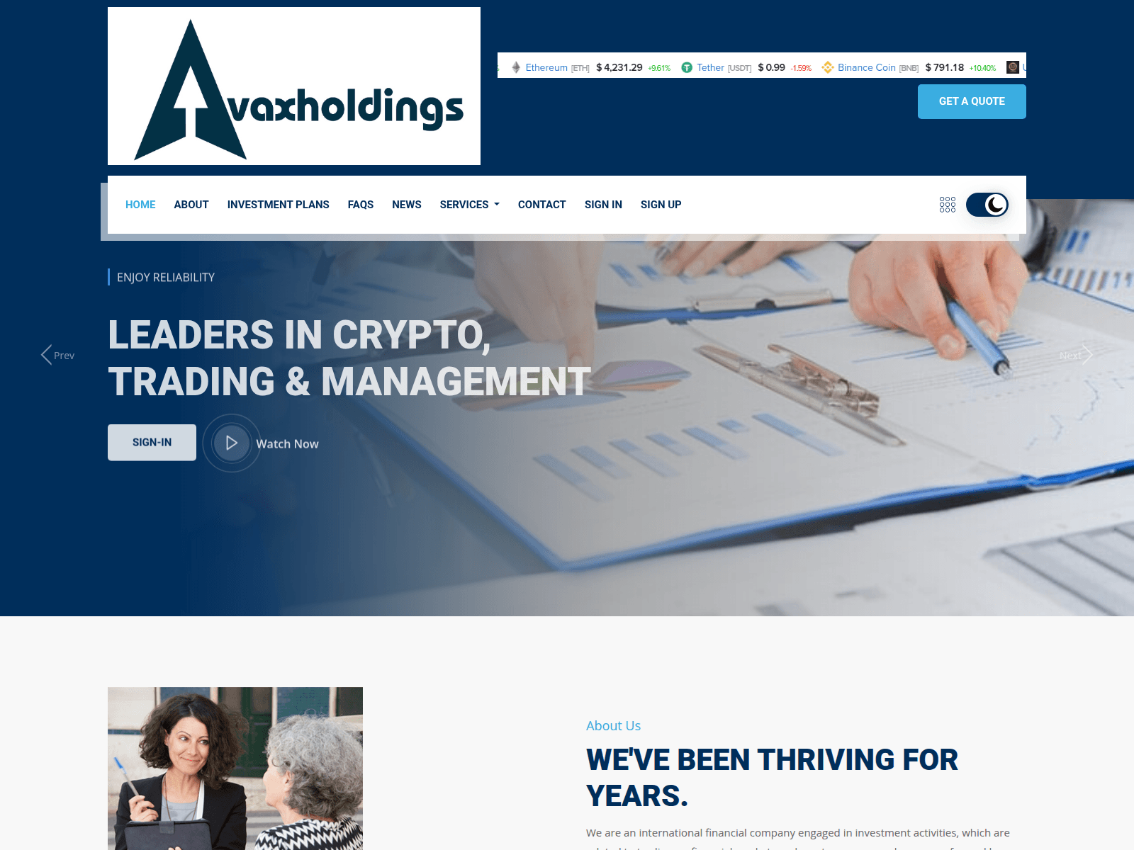 Screenshot of avaxholdings.com