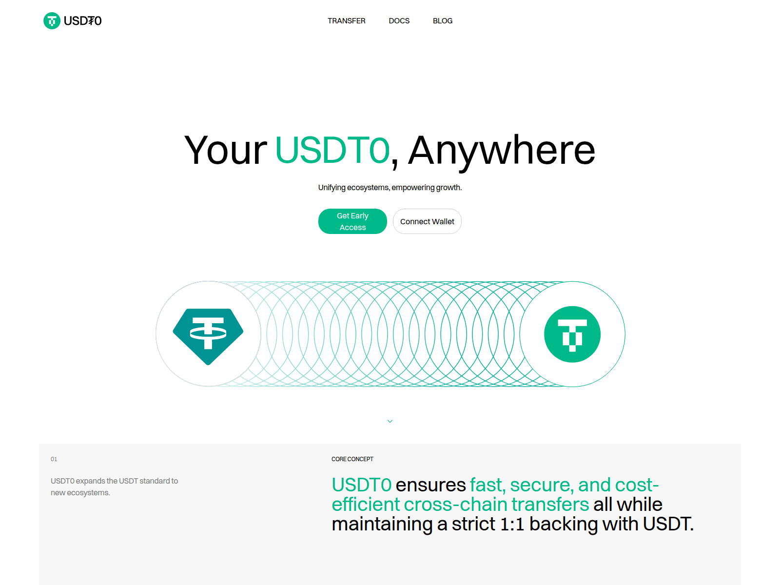 Screenshot of connect-usdt0.com