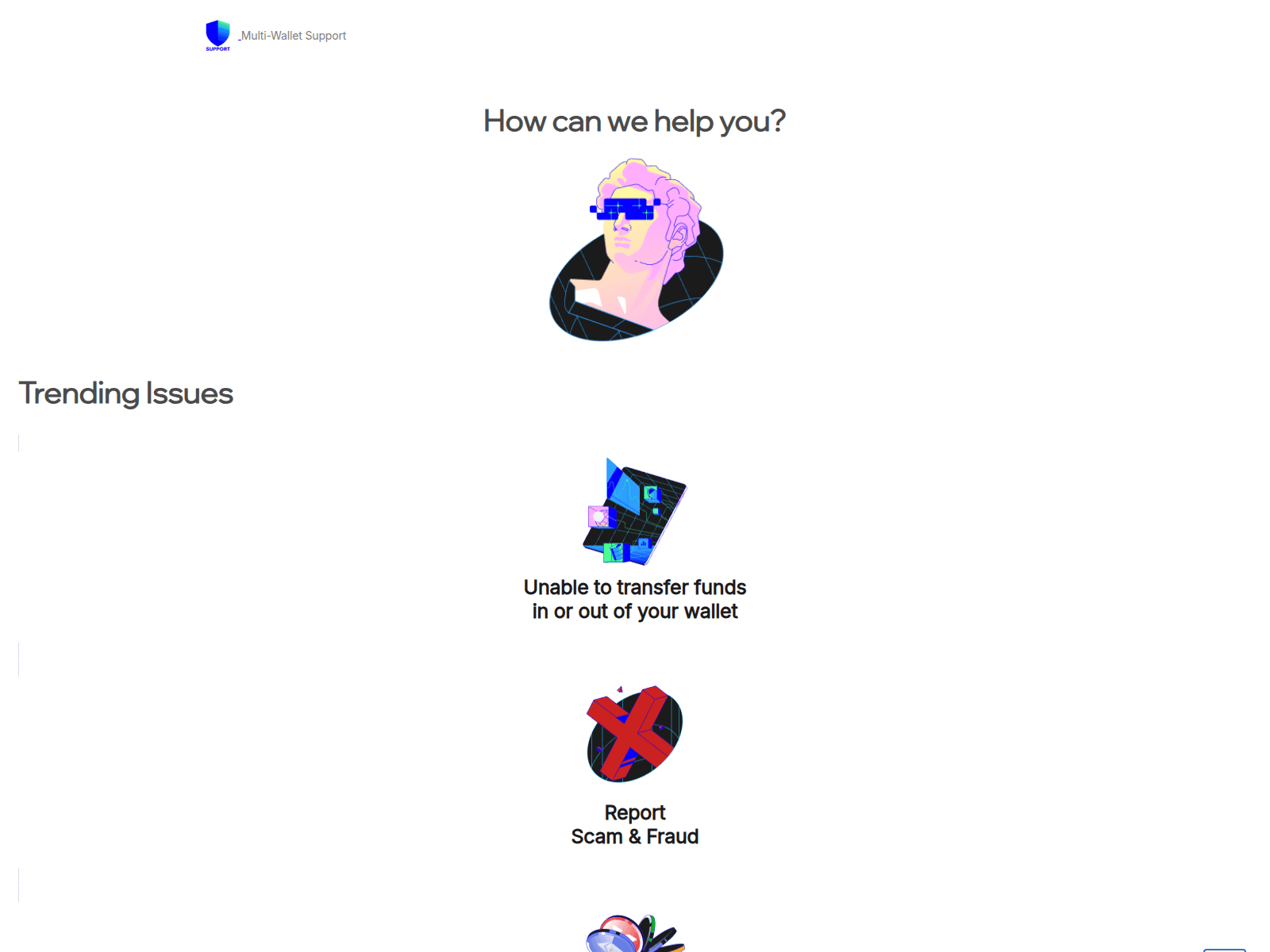 Screenshot of supportmultiwallet.com