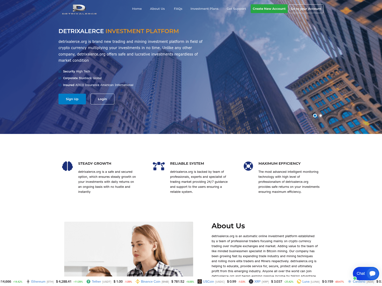 Screenshot of detrixalerce.org