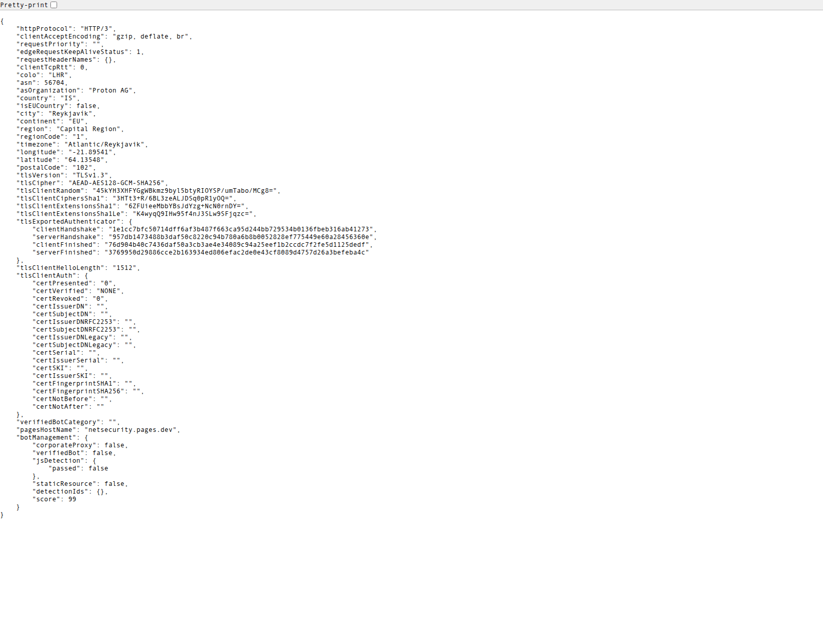 Screenshot of netsecurity.pages.dev