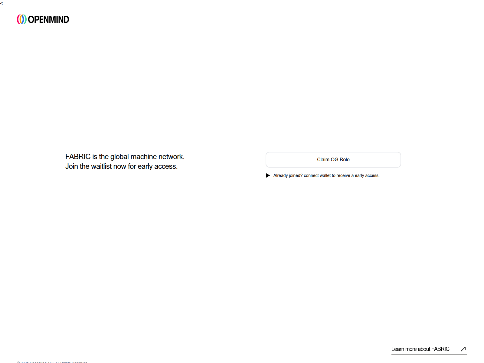 Screenshot of openmint.web.app