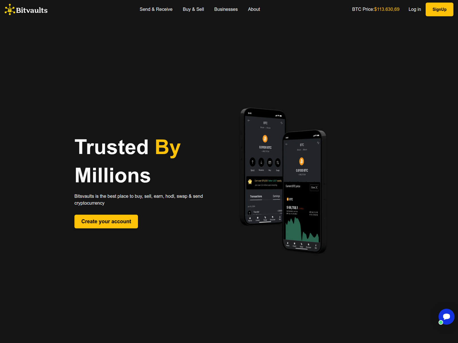 Screenshot of bitsvaults.net