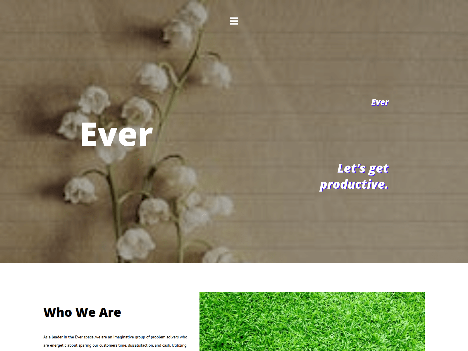 Screenshot of everstake.eu.com