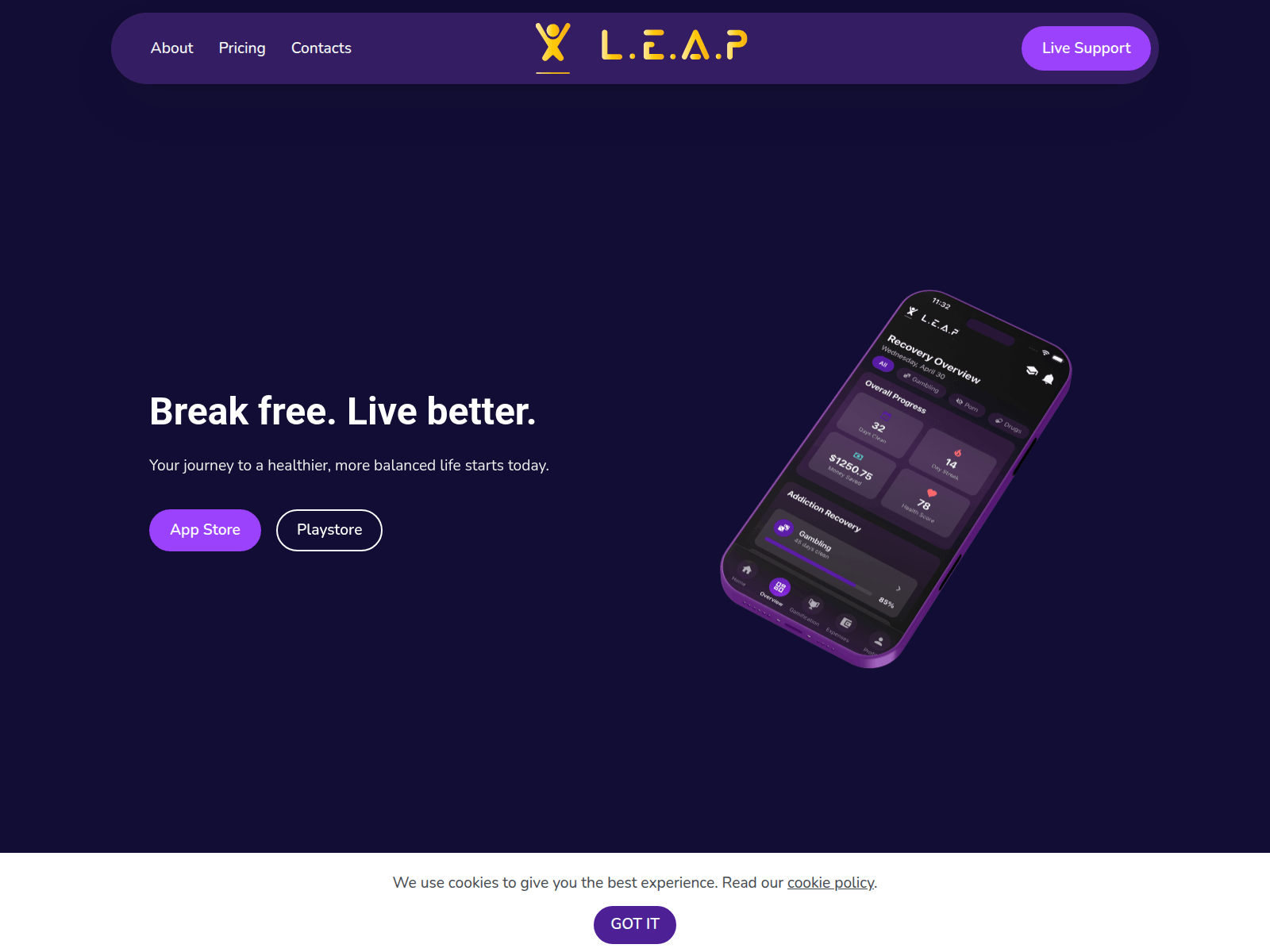 Screenshot of leaprecoveryapp.com