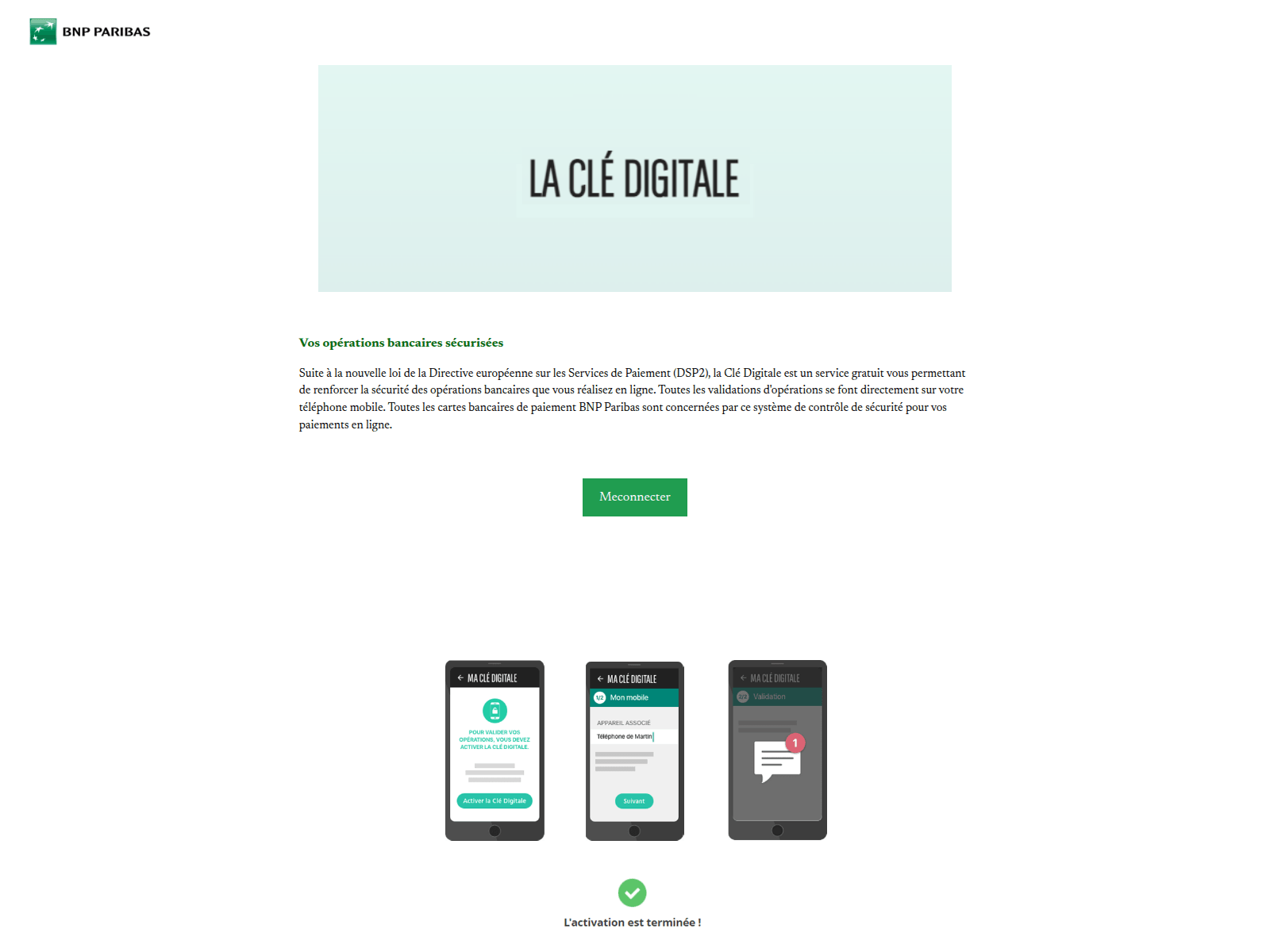 Screenshot of star-koala-hcy9.squarespace.com
