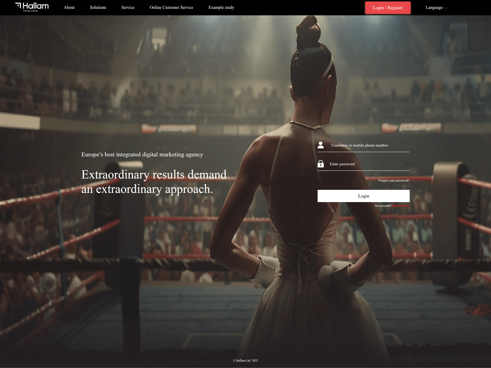 Screenshot of hallamnvip.com