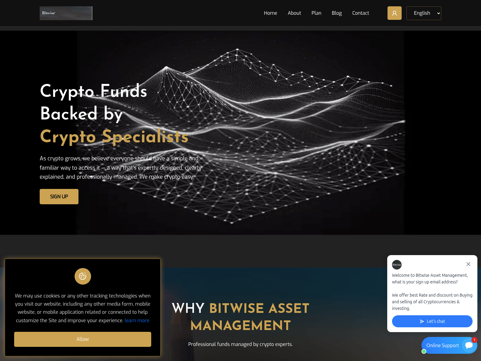 Screenshot of bitwisevip.com