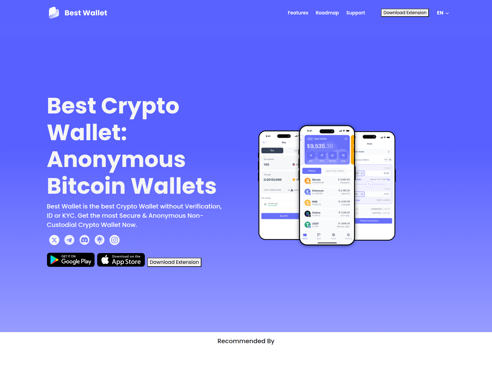 Screenshot of bestwalletxtension.com