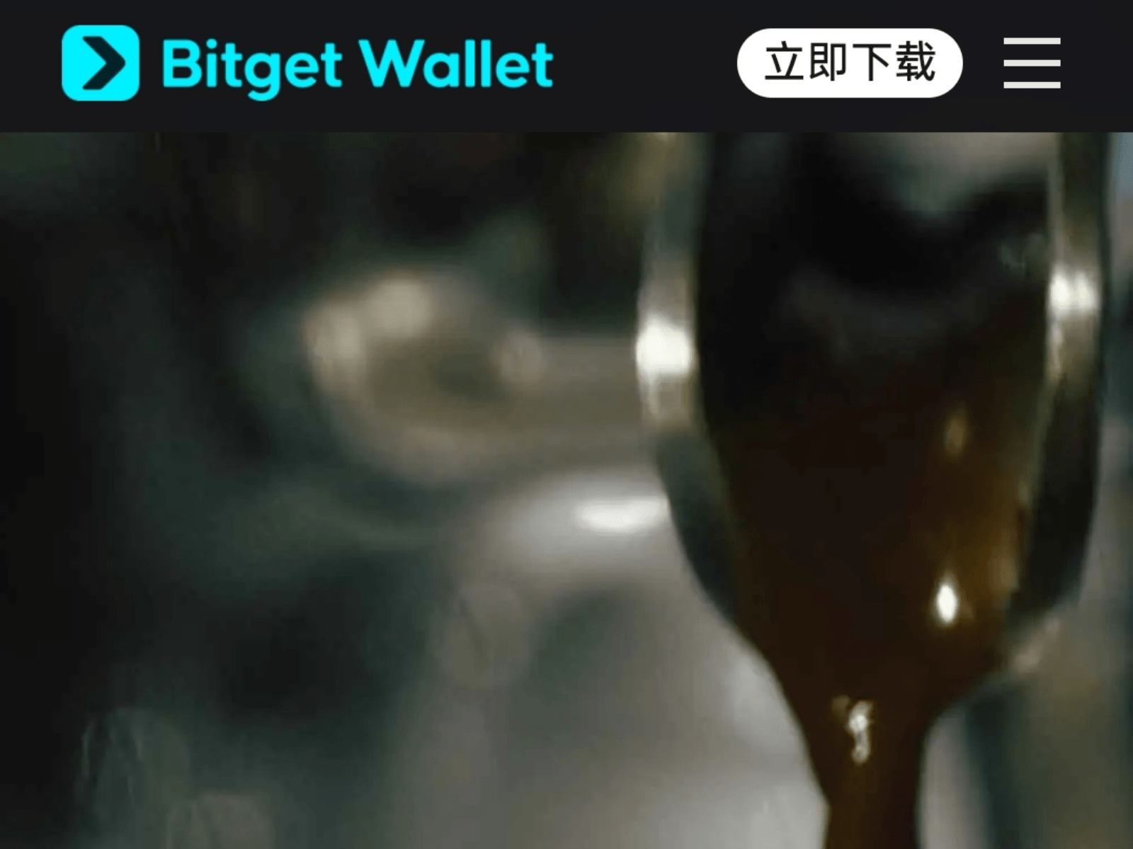 Screenshot of web3-bitget.club